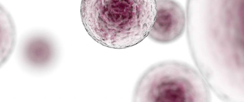 drdonaldpoon_a-primer-in-immunotherapy-a-simple-guide-for-everyone