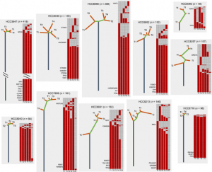 Figure 3: Phylogenetic trees of 11 hepatocellular carcinomas constructed on the basis of whole exome sequencing.
